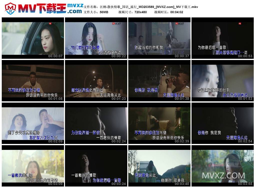 汪刚-散伙情歌_国语_流行_MD203589